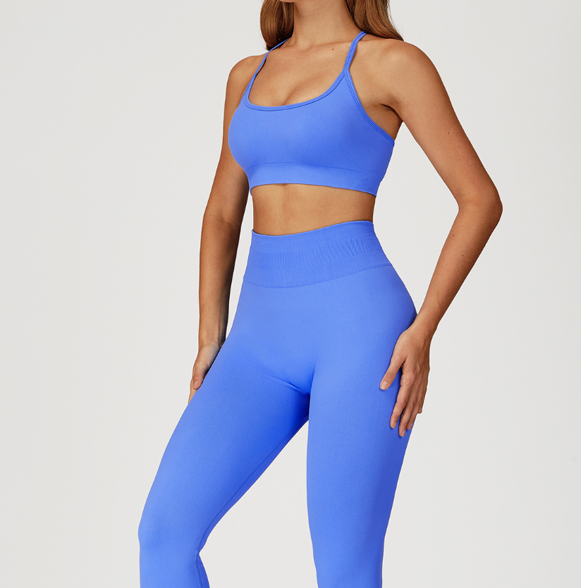 Seamless Open-Back Sports Bra: Premium Quick-Dry Top for Yoga, Running & Fitness 6694