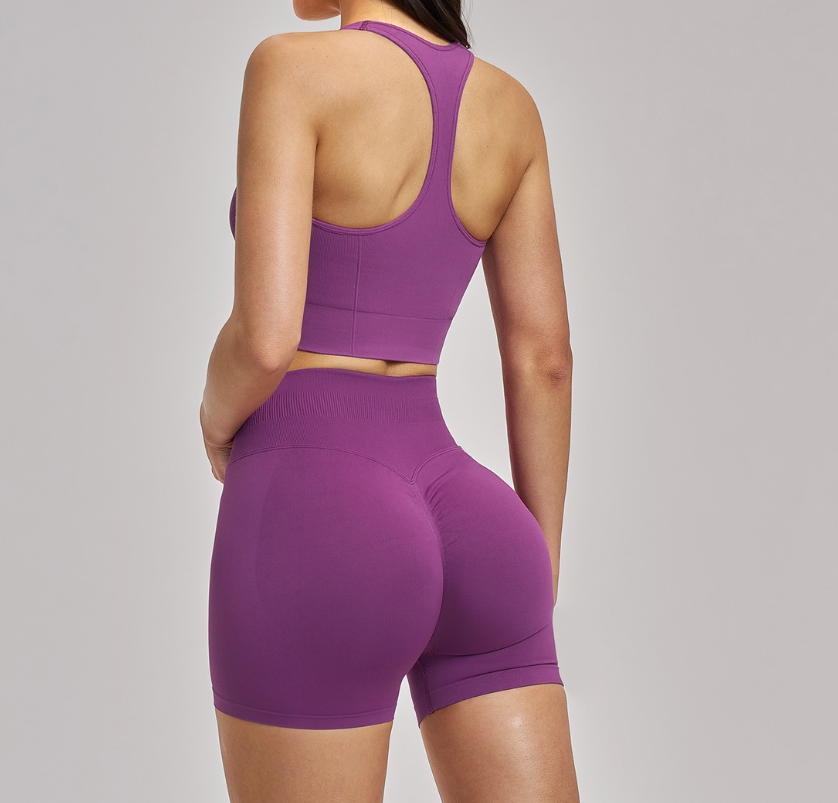 Shockproof Seamless Yoga Bra: Double-Strap Open-Back Quick-Dry Fitness Bra 4523