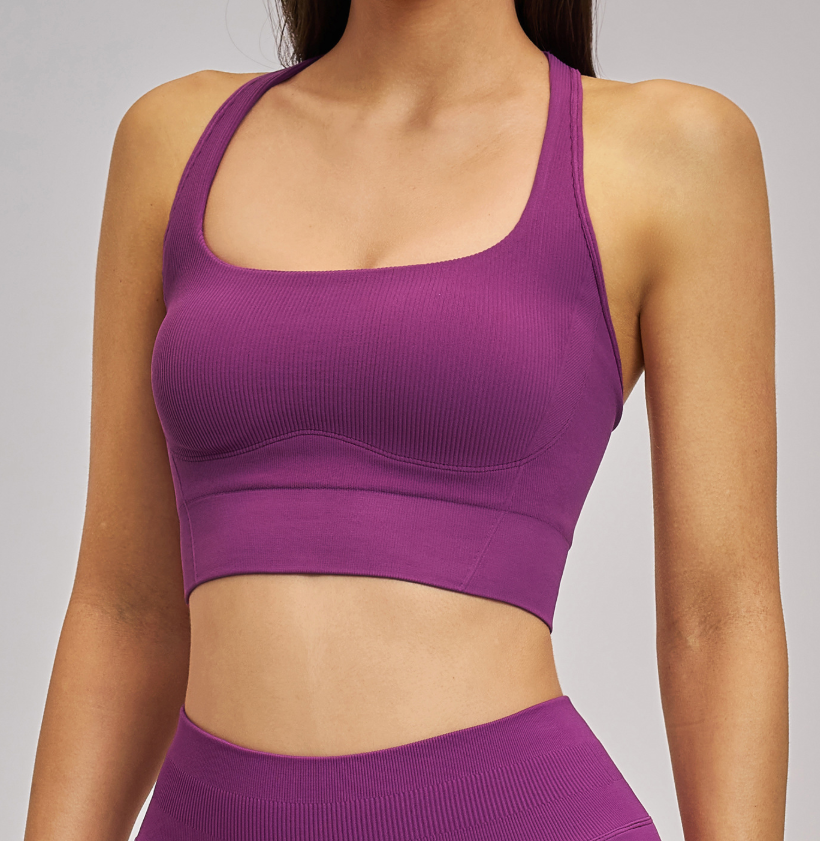 Shockproof Seamless Yoga Bra: Double-Strap Open-Back Quick-Dry Fitness Bra 4523