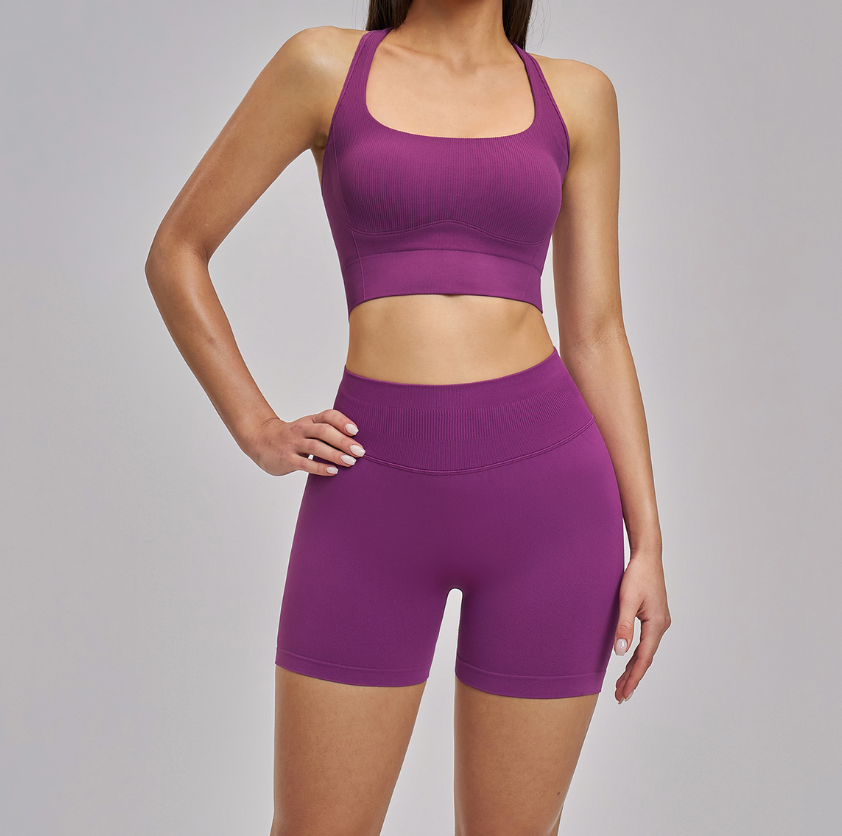 Shockproof Seamless Yoga Bra: Double-Strap Open-Back Quick-Dry Fitness Bra 4523