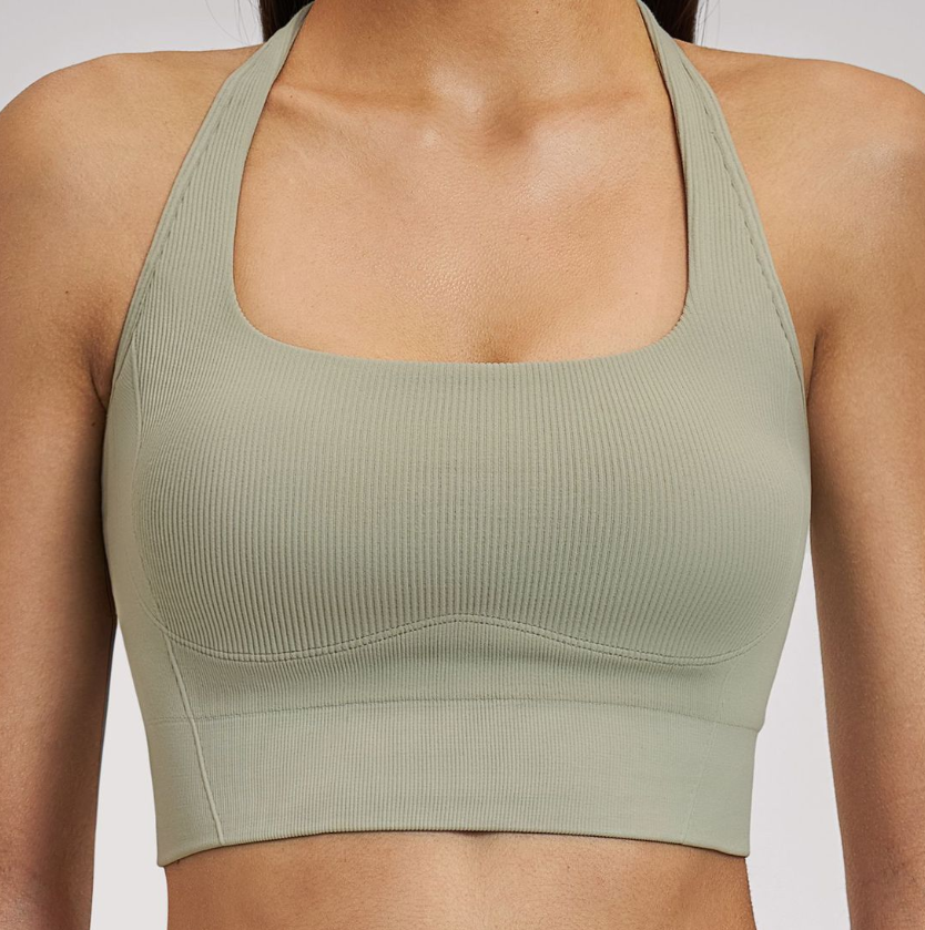 Shockproof Seamless Yoga Bra: Double-Strap Open-Back Quick-Dry Fitness Bra 4523