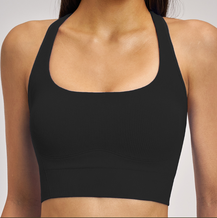 Shockproof Seamless Yoga Bra: Double-Strap Open-Back Quick-Dry Fitness Bra 4523