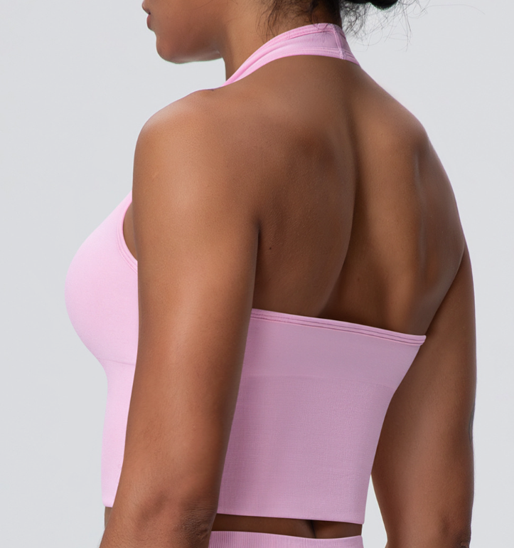 European & American Style Breathable Halter Neck Sports Bra, Seamless Yoga Bra for Women, Shockproof Fitness Top for Summer