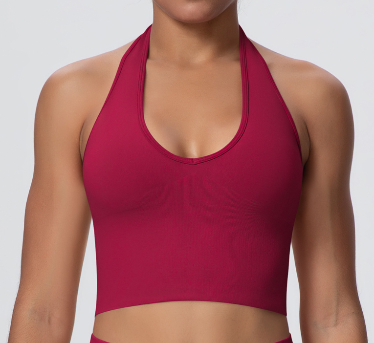 European & American Style Breathable Halter Neck Sports Bra, Seamless Yoga Bra for Women, Shockproof Fitness Top for Summer