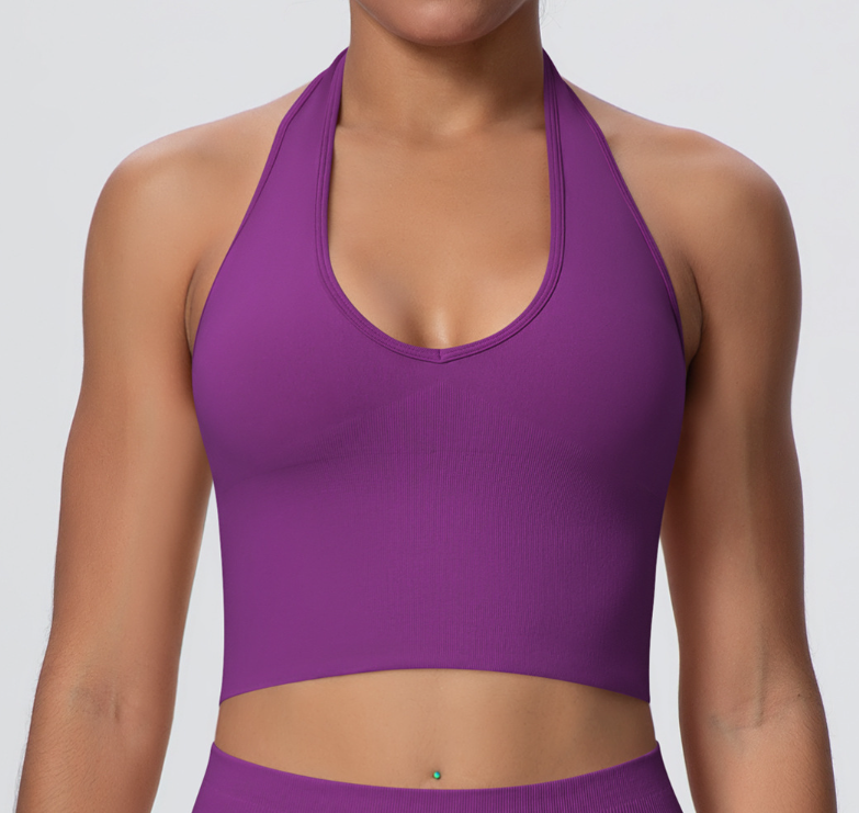 European & American Style Breathable Halter Neck Sports Bra, Seamless Yoga Bra for Women, Shockproof Fitness Top for Summer