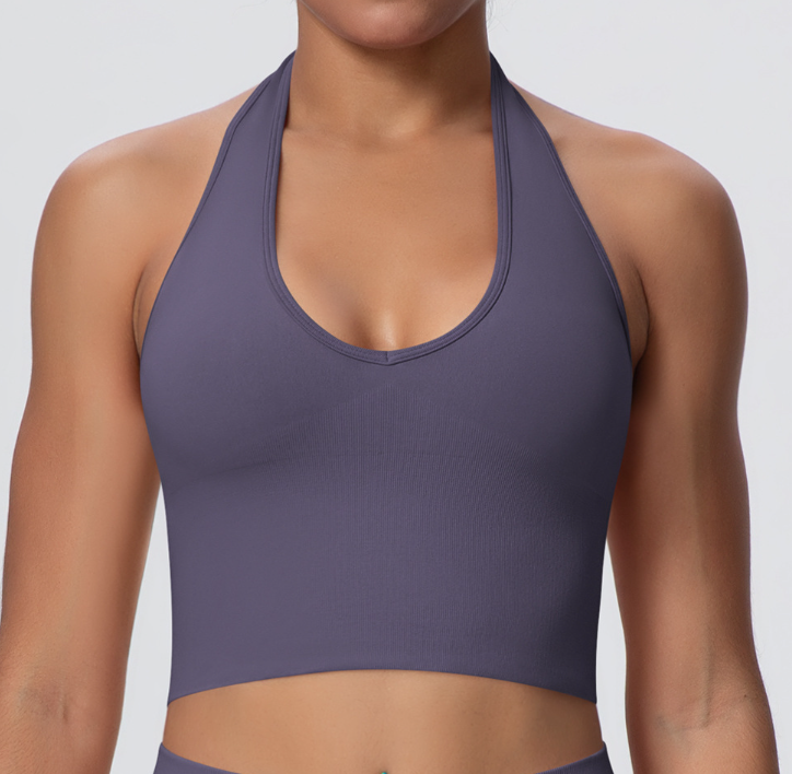 European & American Style Breathable Halter Neck Sports Bra, Seamless Yoga Bra for Women, Shockproof Fitness Top for Summer