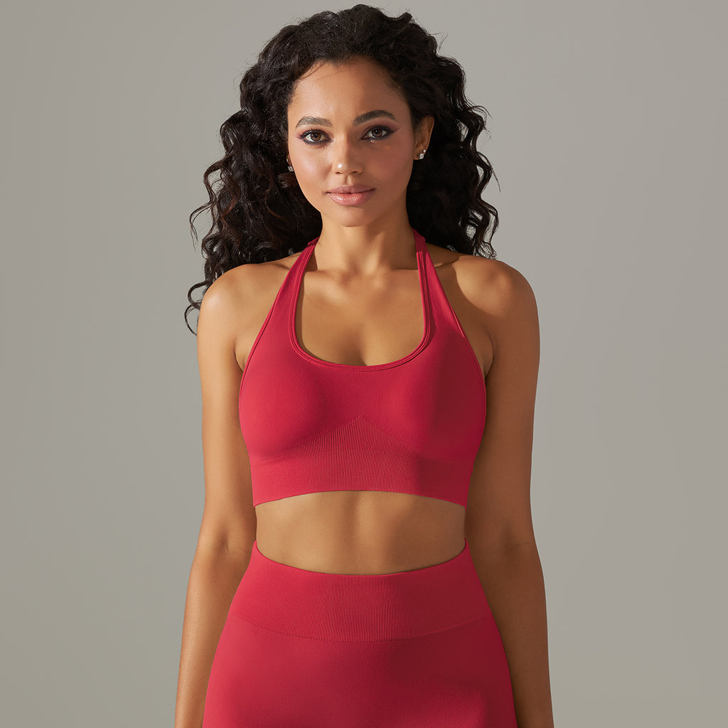 Seamless Halter Neck Sports Bra: Sexy Backless Yoga Top & Solid Color High-Stretch Fitness Bralette